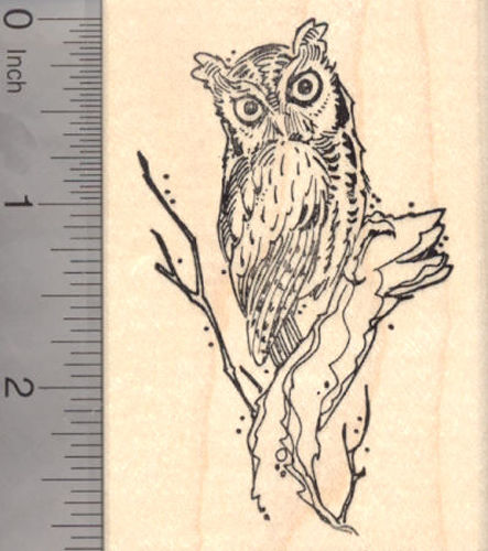 Eastern Screech Owl Rubber Stamp, North American Owls