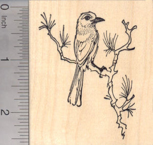 Western Scrub Jay Rubber Stamp, New World Blue Jays