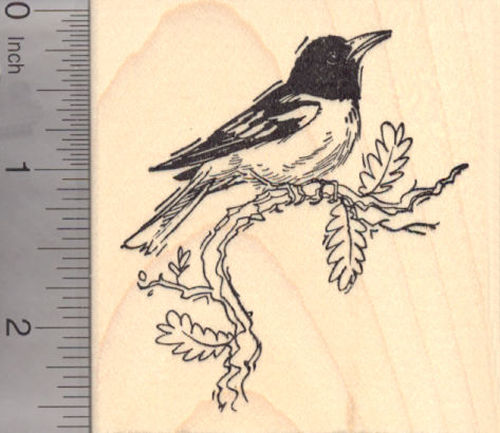 New World Oriole Bird Rubber Stamp, Baltimore Oriole