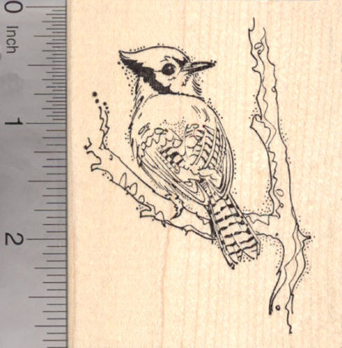 Blue Jay Bird Rubber Stamp Save 25%