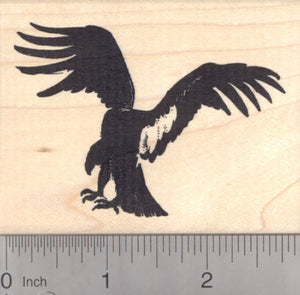 California Condor Rubber Stamp, Endangered North American Vulture