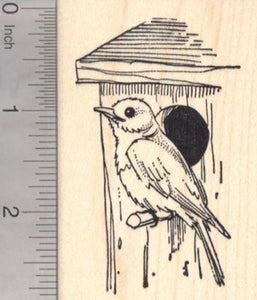 Eastern Bluebird Rubber Stamp, American Thrush Family Blue Bird