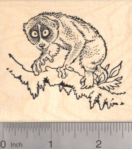 Slow Loris in Tree Rubber Stamp, Wildlife, Primate