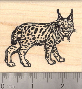 Bobcat Woodcut Style Rubber Stamp