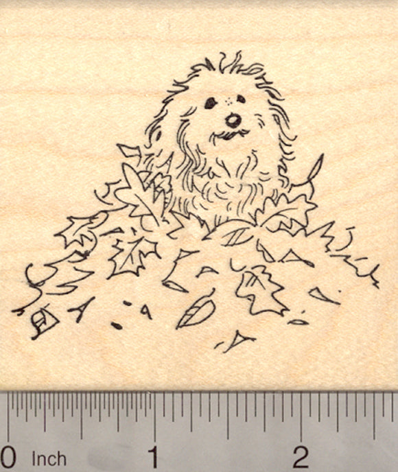 Coton de Tuléar Dog Rubber Stamp, in Autumn Leaves