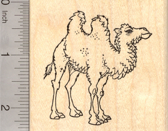 Bactrian Camel Rubber Stamp, Two Humps