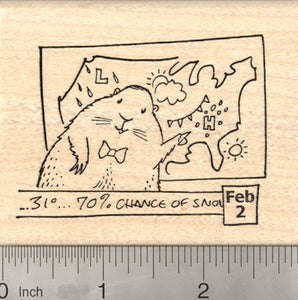 Groundhog Day Rubber Stamp, Television Weather Forecast, meteorologist