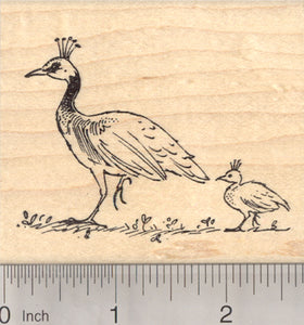 Peahen and Chick Rubber Stamp, Female Peacock Bird, Peafowl