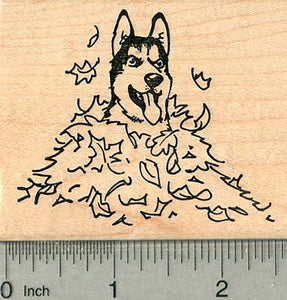 Autumn Husky Rubber Stamp, Dog in Fall Leaf Pile