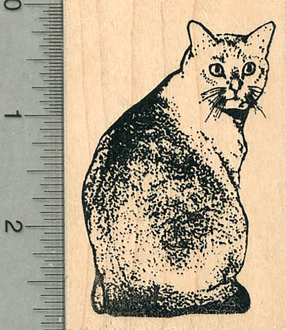 Shorthair Cat Rubber Stamp