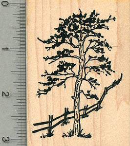 Tree Rubber Stamp, with Fence, Scenery Series
