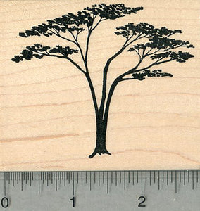 Acacia Tree Rubber Stamp, Scenery Series