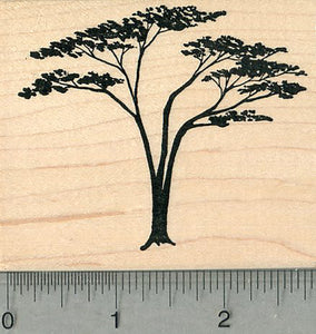 rubber tree stamp Acacia Tree Rubber Stamp, Scenery Series – RubberHedgehog Rubber Stamps