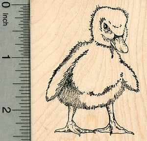 Duckling Rubber Stamp, Spring Series, Baby Duck