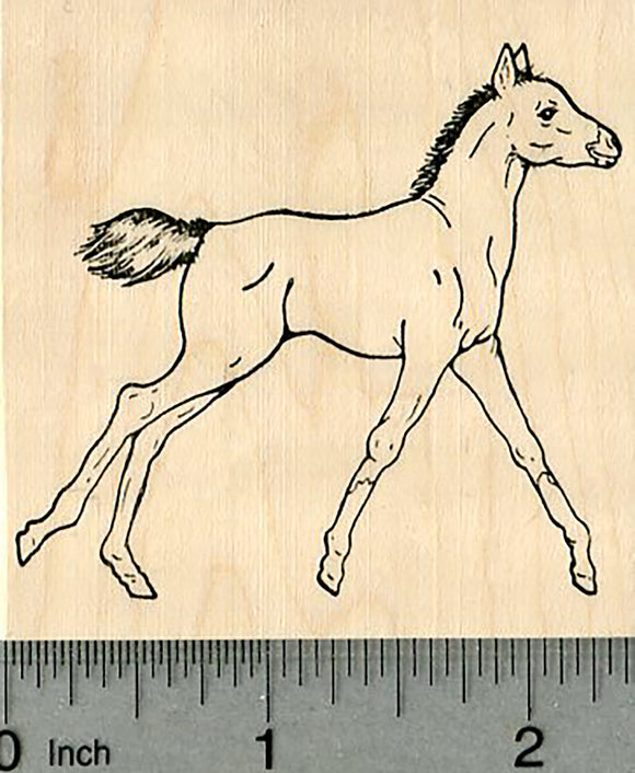 Foal Rubber Stamp, Horse Series