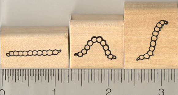 3 Piece Inchworm Rubber Stamp Set, Caterpillar