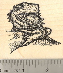 Bearded Dragon (Kajabbi) Rubber Stamp