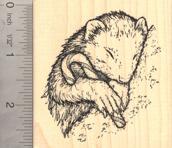 Ferret with Candy Cane (Carmel Corn) Rubber Stamp