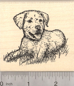 Labrador Retriever Rubber Stamp, Lab Puppy Dog