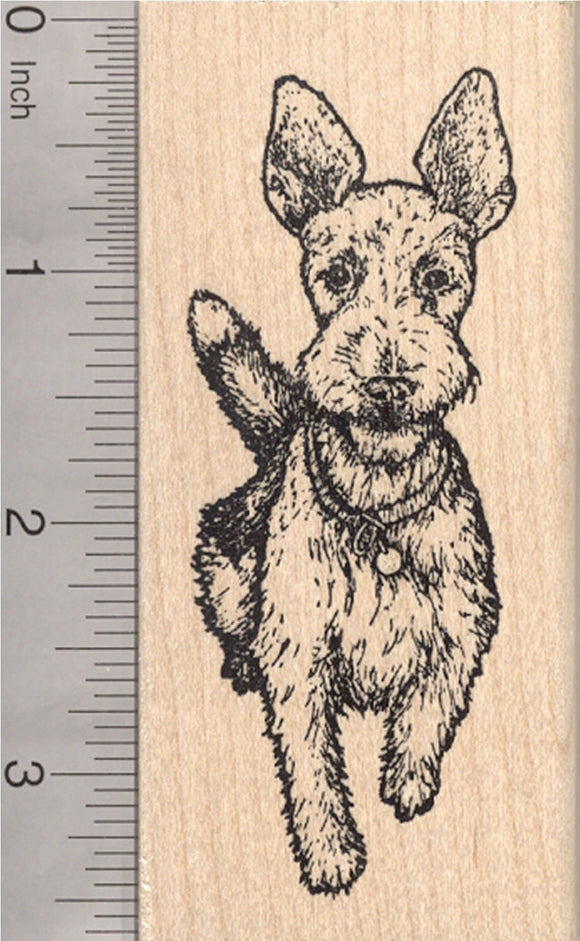 Wire Hair Fox Terrier Rubber Stamp, Dog