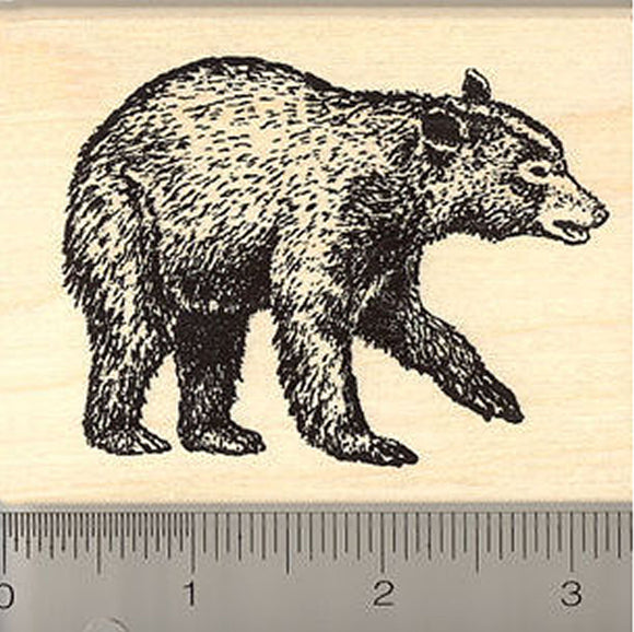 Black Bear Rubber Stamp