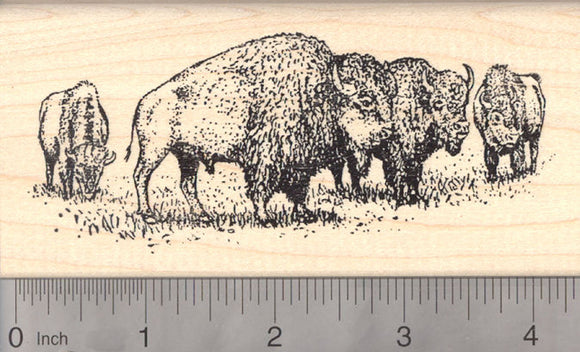 American Bison Herd Rubber Stamp