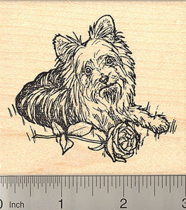 Yorkshire Terrier Rubber Stamp, Detailed Yorkie Dog with Rose, Valentine's