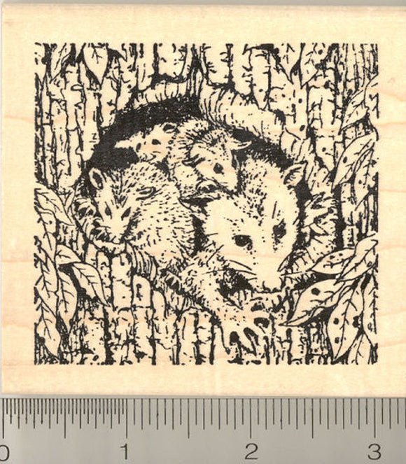 Opossum Family Rubber Stamp, Possums, North American Marsupials