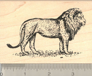 Lion Rubber Stamp, Male Big Cat on the Prowl, Large
