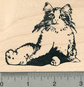 Maine Coon Rubber Stamp, Long Haired Cat
