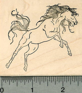 Wild Horse Rubber Stamp, on Hind Legs, Rearing Up