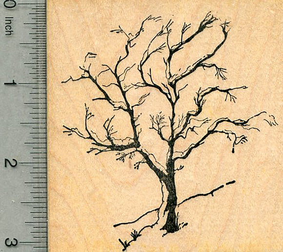Winter Tree Rubber Stamp, with Snow, Scenery Line