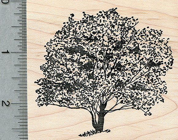 Dogwood Tree Rubber Stamp, Scenery Series
