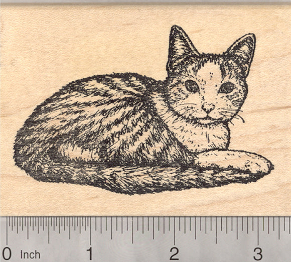 Tabby Cat Rubber Stamp, Bib and Mitts Markings
