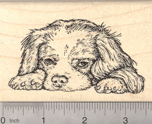 Cavalier King Charles Spaniel Rubber Stamp, Realistic Dog Art