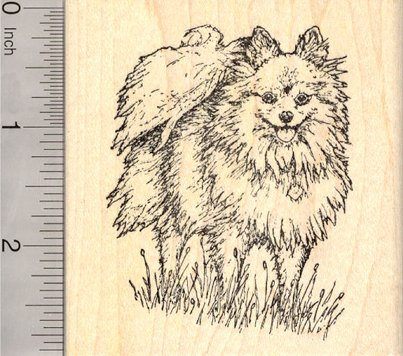 Pomeranian Rubber Stamp, Toy Dog, Pom