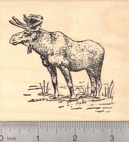 Large Moose Rubber Stamp