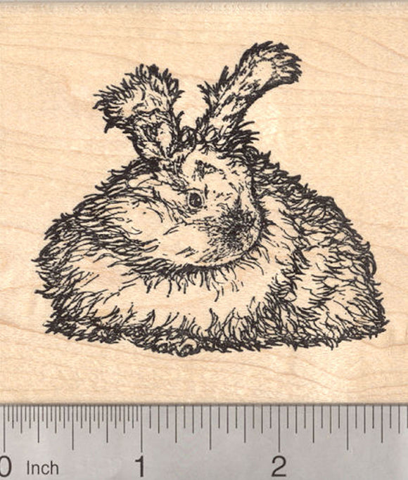 English Angora Rabbit Rubber Stamp, Detailed Longhaired Bunny Stamper