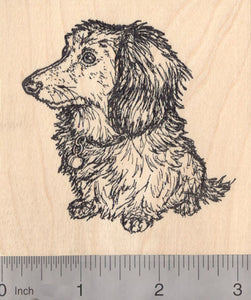 Long-Haired Dachshund Rubber Stamp, Dog