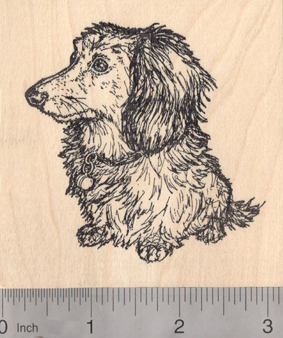 Long-Haired Dachshund Rubber Stamp, Dog