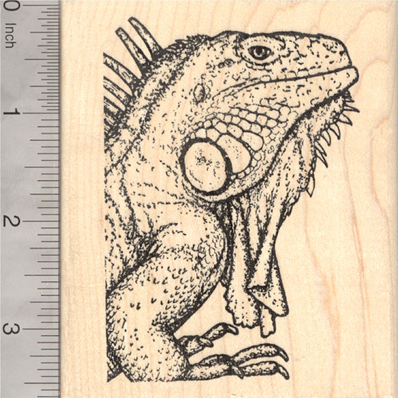 Iguana Rubber Stamp, Lizard native to Mexico, Central American, Polynesia