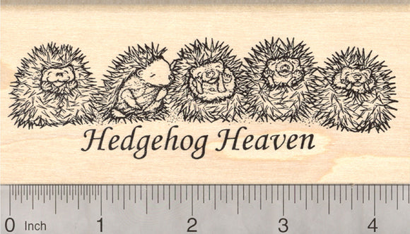 Baby Hedgehog Rubber Stamp, Row of Hoglets