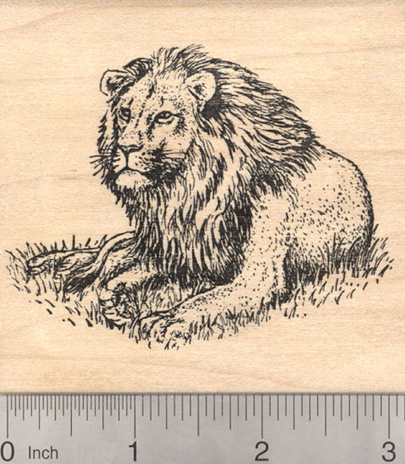 Lion Resting Rubber Stamp, African and Asian Wildlife