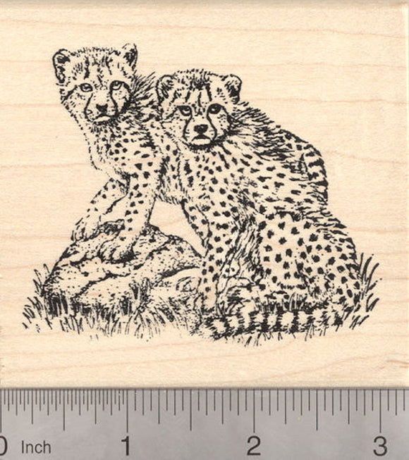Cheetah Cub Rubber Stamp, Pair of Cubs on Rocks, Large