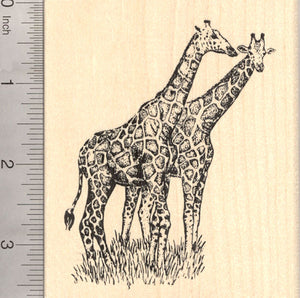 Giraffe Pair Rubber Stamp, African Wildlife, Large