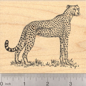 Cheetah Rubber Stamp, African Wildlife, Large
